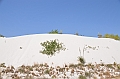 093_USA_White_Sands_National_Monument
