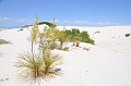 098_USA_White_Sands_National_Monument