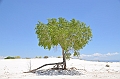 102_USA_White_Sands_National_Monument