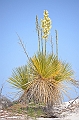 107_USA_White_Sands_National_Monument