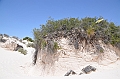 109_USA_White_Sands_National_Monument