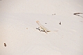 110_USA_White_Sands_National_Monument