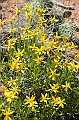 133_USA_Canyon_de_Chelly_National_Monument