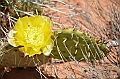 155_USA_Canyon_de_Chelly_National_Monument