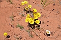 156_USA_Canyon_de_Chelly_National_Monument