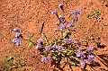 197_USA_Monument_Valley