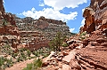 284_USA_Capital_Reef_National_Park