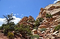 289_USA_Capital_Reef_National_Park
