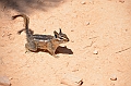 353_USA_Bryce_Canyon_National_Park