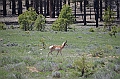 373_USA_Bryce_Canyon_National_Park
