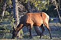 583_USA_Grand_Canyon_National_Park