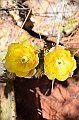625_USA_Sedona