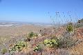 015_Franklin_Mountains_State_Park
