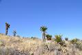 016_Franklin_Mountains_State_Park