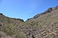 085_Arizona_Tucson_Saguaro_NP07
