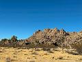 027_USA_Kalifornien­_Joshua_Tree_Nationalpark 