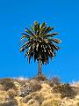 120_USA_Kalifornien