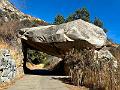 171_USA_Kalifornien_Sequoia_NP