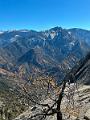 183_USA_Kalifornien_Sequoia_NP
