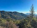 195_USA_Kalifornien_Sequoia_NP