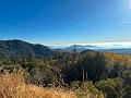 196_USA_Kalifornien_Sequoia_NP