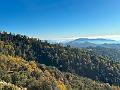 198_USA_Kalifornien_Sequoia_NP