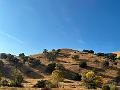 199_USA_Kalifornien_Lost_Hills