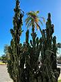 212_USA_Kalifornien_Santa_Barbara_Old_Mission
