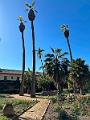 215_USA_Kalifornien_Santa_Barbara_Old_Mission