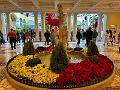 298_USA_Nevada_Las_Vegas