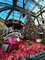 300_USA_Nevada_Las_Vegas