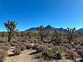 345_USA_Arizona