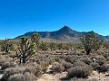 346_USA_Arizona
