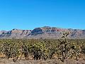 347_USA_Arizona