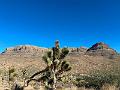 348_USA_Arizona
