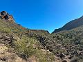 395_USA_Arizona_Saguaro_NP
