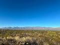 400_USA_Arizona_Saguaro_NP