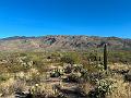 405_USA_Arizona_Saguaro_NP