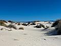 430_USA_New_Mexico_White_Sands_NP