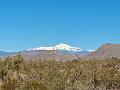 447_USA_New_Mexico