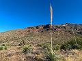 451_USA_Texas_Franklin_Mountains_State_Park