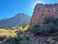 455_USA_Texas_Franklin_Mountains_State_Park