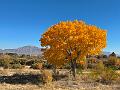 463_USA_Texas_El_Paso