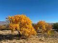464_USA_Texas_El_Paso
