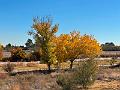 465_USA_Texas_El_Paso