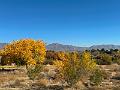 467_USA_Texas_El_Paso